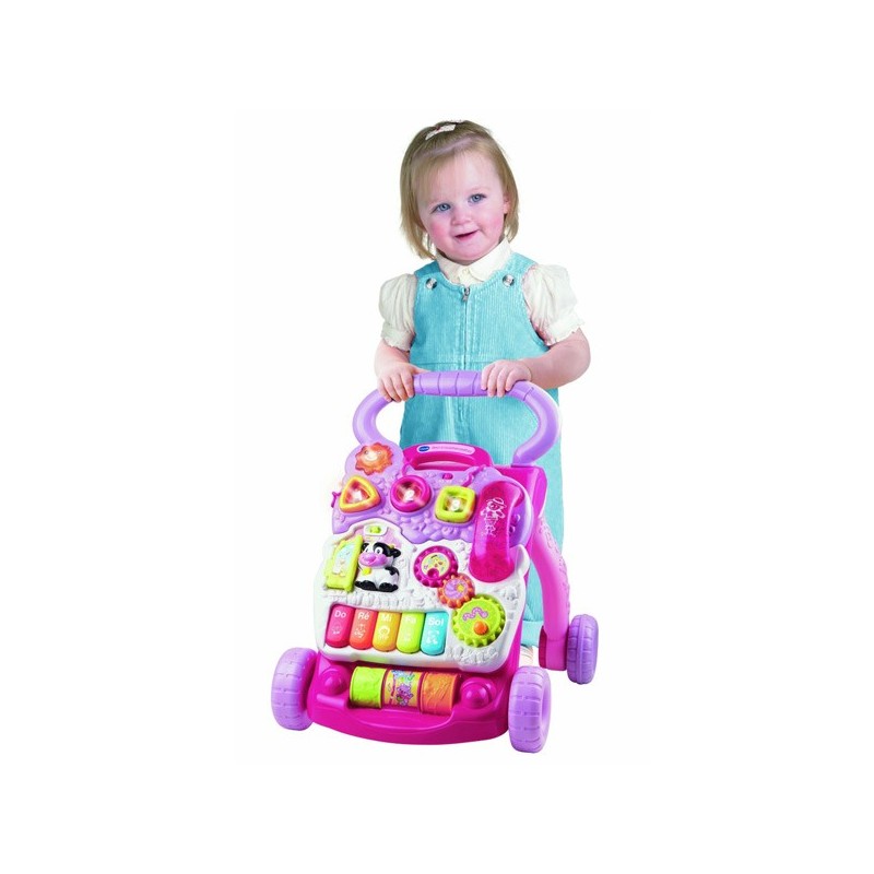 Correpasillos para bebés andadín Vtech